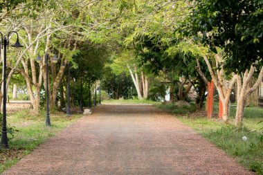 Güzel doğa güneş ışığı ile geçit ile kamu parkıdır.