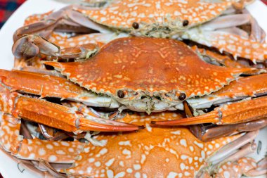 Yengeç kaynatın, bir tabak içinde pişmiş deniz yengeç.