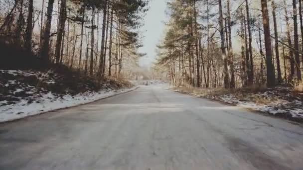 Зимовий Ліс Асфальт Снігова Дорога Літаюча Камера Сонячний День Гора — стокове відео