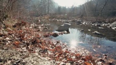 Akan Su Panorama Dağlık Ormanıyla Rocky Nehri üzerinde Güneşli Gün Manzarası 