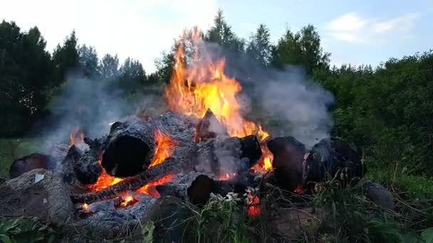 Бонайре Відкритому Повітрі Яскраве Полум Фоні Природи — стокове відео