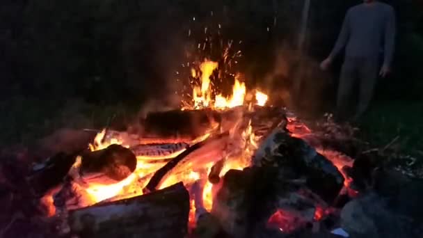 Bonire Venku Světlý Plamen Přírodním Pozadí — Stock video