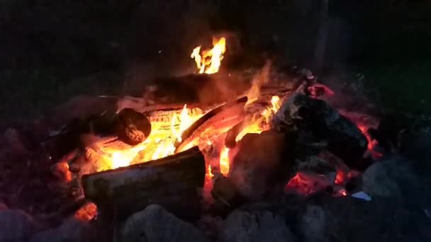 Bonire Venku Světlý Plamen Přírodním Pozadí — Stock video