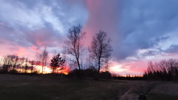 Schöner Sonnenuntergang Frühling — Stockvideo