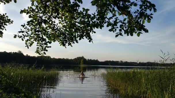 Adolescente Menina Nada Mergulha Lago Campo Dia Quente Verão — Vídeo de Stock