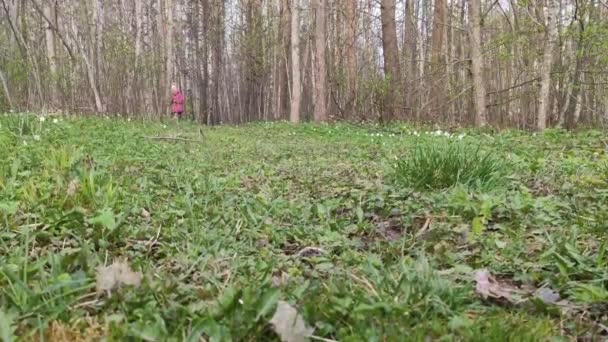 Маленькая Девочка Гуляет Весеннем Лесу — стоковое видео