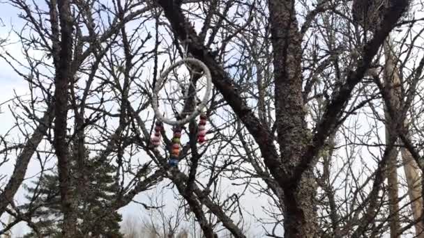 Kışın Parktaki Ağaç Dallarında Asılı Duran Yapımı Dekorasyonun Yakın Çekim — Stok video