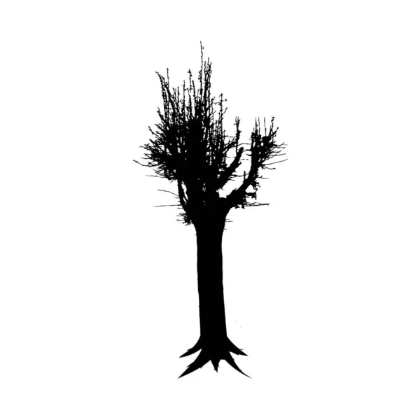 Силуэт Чёрного Обнаженного Дерева Выделен Белом Фоне Элемент Лесной Природы — стоковое фото