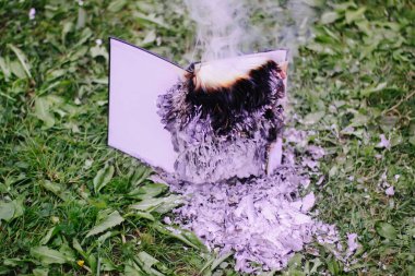 Yeşil yaz çimlerinde yanan eski bir not defteri..