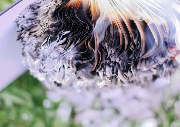 古いメモ帳は緑の夏の草の上で燃える屋外 — ストック写真