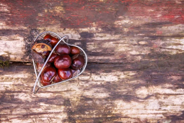 新鲜的秋天生栗子在木制背景的小金属篮子里 埃斯库卢斯河马 — 图库照片
