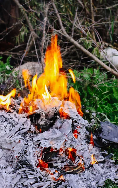 Paper Burning Green Summer Grass Outdoors — Stock Photo, Image