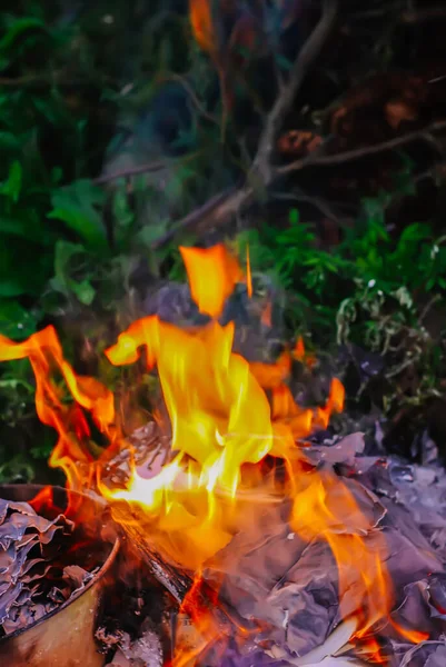 Queima Papel Grama Verão Verde Livre — Fotografia de Stock