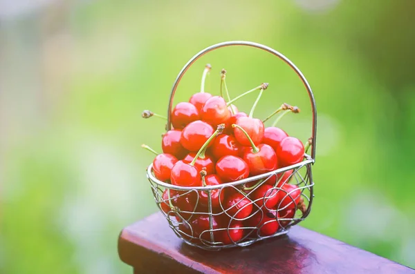 Cherry Small Metal Basket Wooden Railing Surface Outdoors Ripe Fresh — Stock Photo, Image