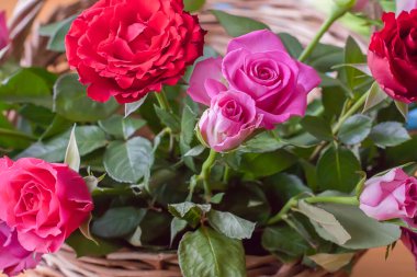 Hasır sepetin içinde güzel güller.