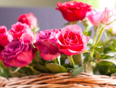 Hasır sepetin içinde güzel güller.