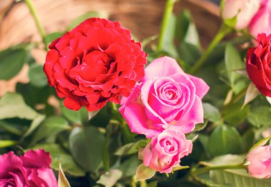 Hasır sepetin içinde güzel güller.