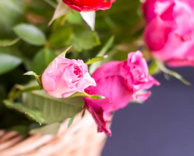 Hasır sepetin içinde güzel güller.