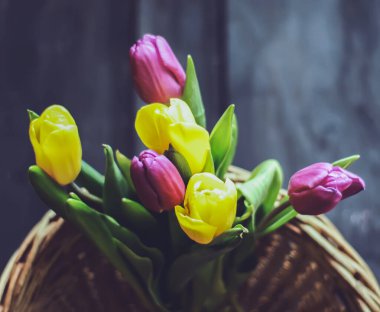Spring floral background. Beautiful tulip flowers in a wicker basket.