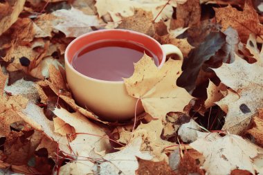Renkli sonbahar yapraklarında bir fincan siyah çay.