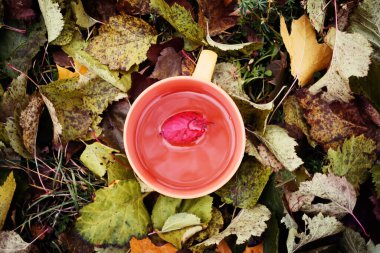 Renkli sonbahar yapraklarında bir fincan siyah çay.