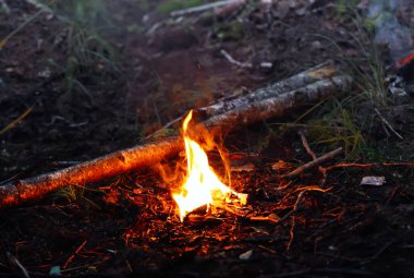 Ormanda yangın. Doğanın arka planında parlak alev.