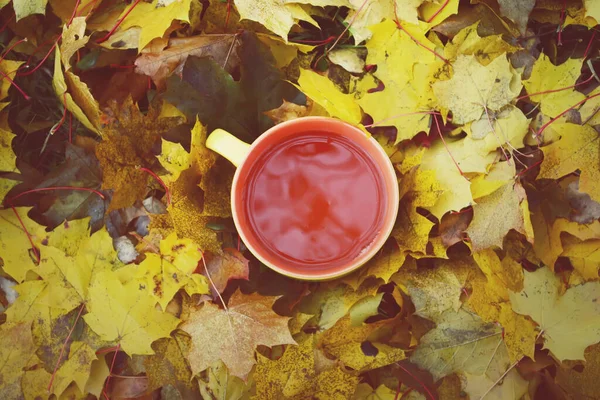Eine Tasse Schwarzen Tee Auf Bunten Herbst Herbst Blätter Hintergrund — Stockfoto