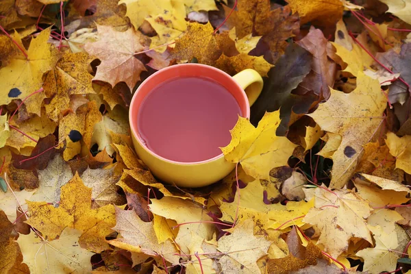 Eine Tasse Schwarzen Tee Auf Bunten Herbst Herbst Blätter Hintergrund — Stockfoto