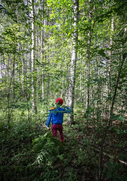 Une Petite Fille Avec Des Plantes Fougère Marchant Dans Forêt — Photo