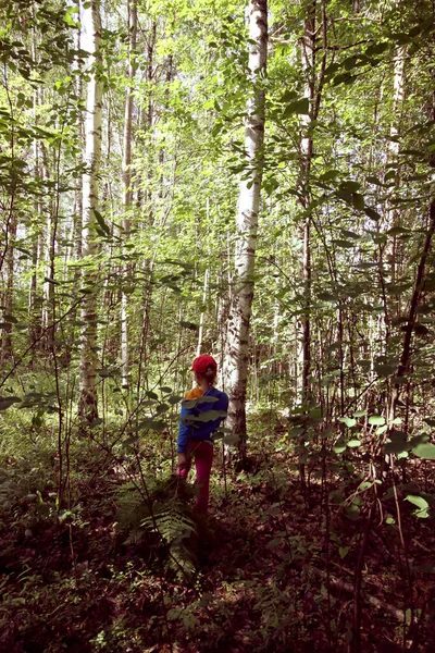 Uma Menina Com Plantas Samambaia Andando Floresta Verão — Fotografia de Stock