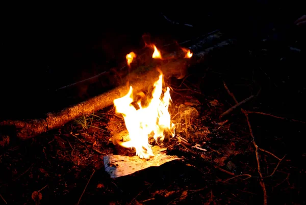 Incendio Nella Foresta Fiamma Brillante Sullo Sfondo Della Natura — Foto Stock