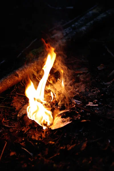 森林失火了自然背景下明亮的火焰 — 图库照片