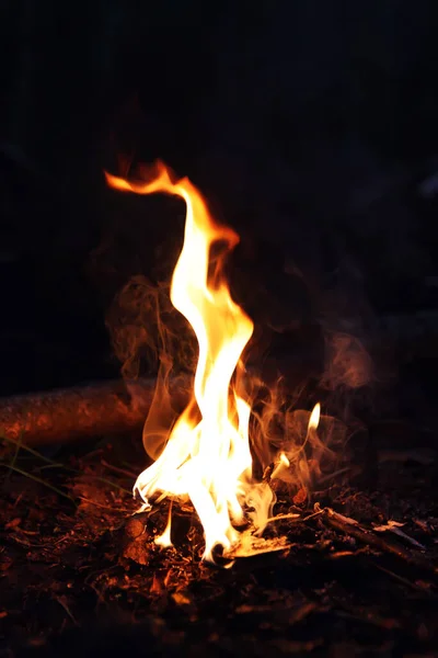 Fogo Floresta Chama Brilhante Noite — Fotografia de Stock