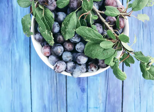Zralé Šťavnaté Plody Švestek Šálku Starém Modrém Dřevěném Stole Letní — Stock fotografie