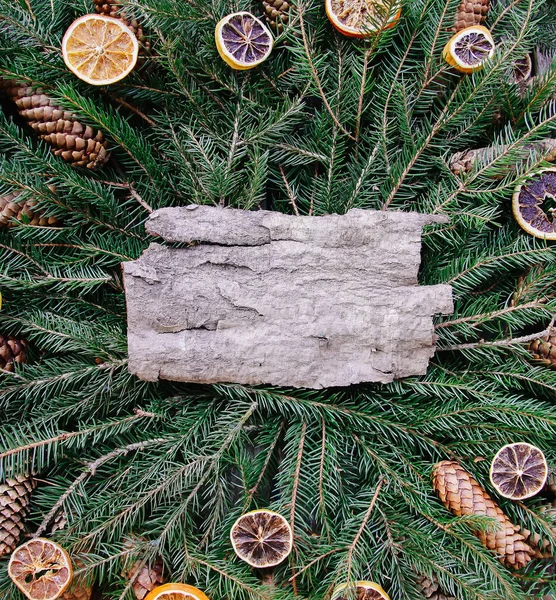 绿杉树枝上的树皮片 装饰有干橙片和球果 新年及佳节佳节作曲风格为复古风格 — 图库照片