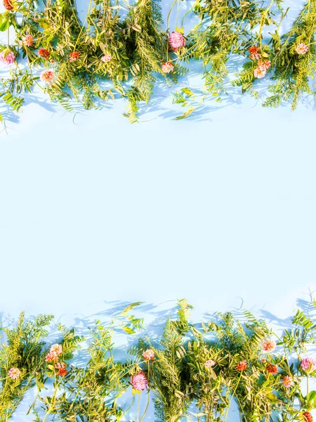 Green Leaves Wildflowers Soft Blue Background Creative Design Empty Space — Stock Photo, Image