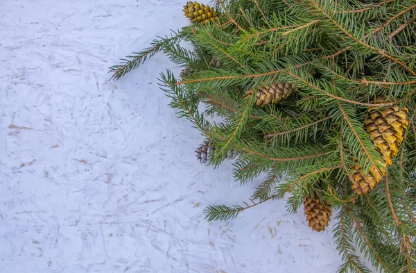 Composition Noël Avec Branches Sapin Décorées Cônes Peinture Sur Fond — Photo