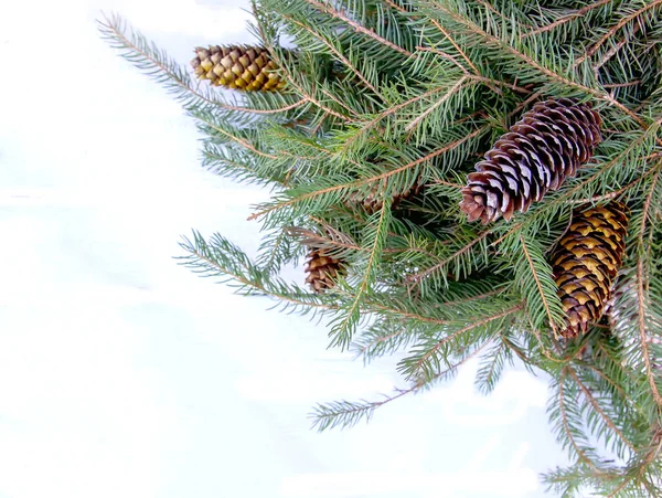 圣诞作文 有冷杉树枝和白色背景的圆锥 新年佳节设计模板 对称横幅 — 图库照片