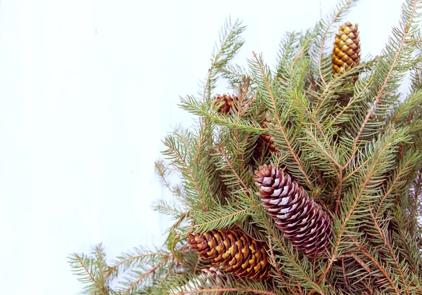 Christmas Composition Fir Tree Branches Decorated Gold Paint Cones White — Stock Photo, Image