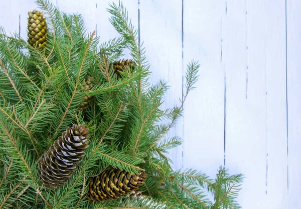 Composição Natal Com Ramos Abeto Cones Fundo Madeira Envelhecido Branco — Fotografia de Stock