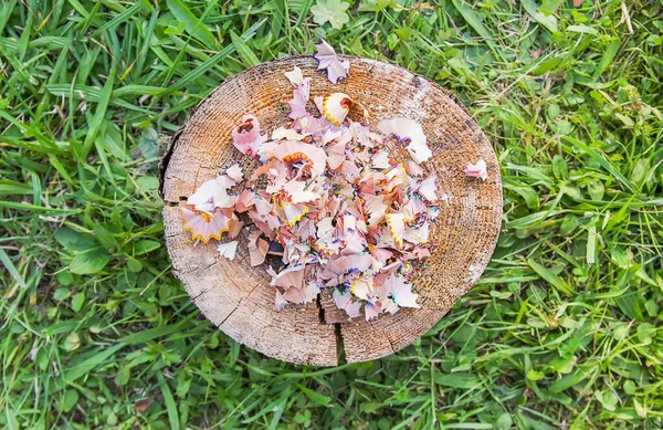 Wooden pencil shavings from sharpener on tree stump on green summer grass background. Top view