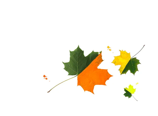 Яркие Кленовые Листья Украшенные Гуашью Красками Черном Фоне Творческий Осенний — стоковое фото