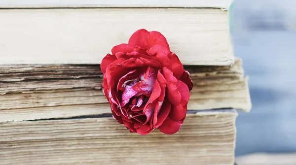 Vintage Κάρτα Στοίβα Από Παλιά Βιβλία Και Κόκκινο Τριαντάφυλλο Λουλούδι — Φωτογραφία Αρχείου
