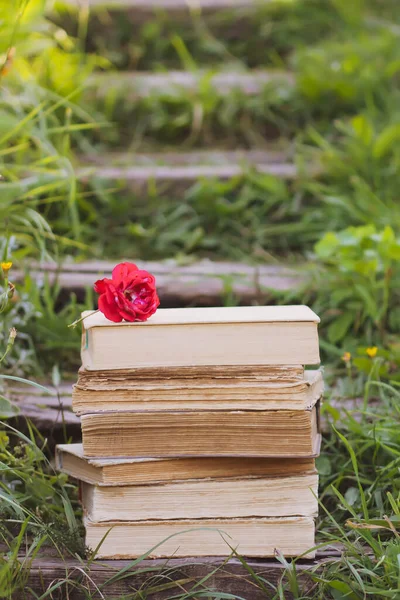 Vintage Karta Hromadou Starých Knih Červené Růže Květiny Venku — Stock fotografie