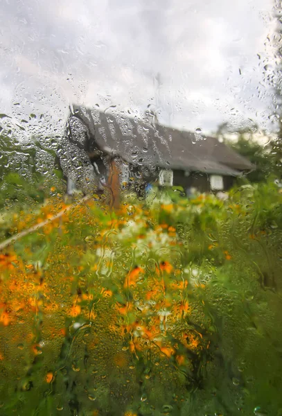 Country yard with old buildings behind the wet glass with autumn rain drops.