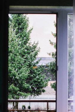 Kış doğası geçmişi. Karda çam ağaçları