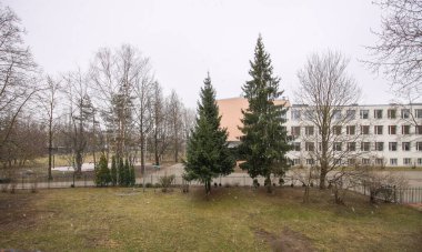 Winter nature background. Urban landscape.