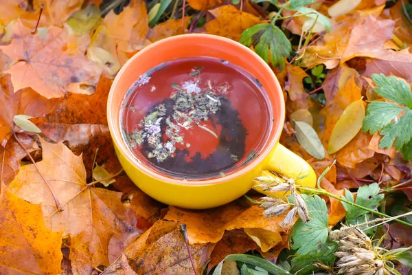 Stillleben Mit Gelber Keramiktasse Kräutertee Und Herbstblättern Herbstgarten — Stockfoto