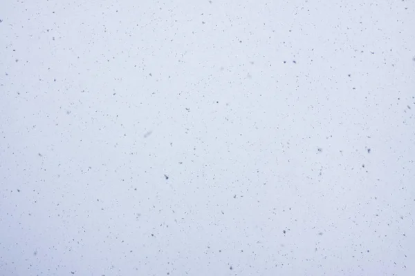 Sněhová Vánice Překrývají Přírodní Malé Sněhové Vločky Textura Světlo Měkké — Stock fotografie