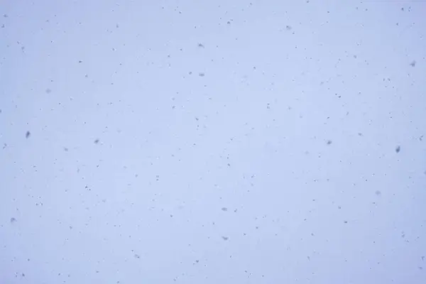 Snow Blizzard Overlay Natural Small Snowflakes Texture Light Soft Background — Stock Photo, Image